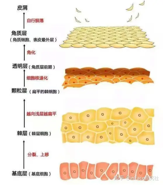 1677736948669757.jpg src=http___pic2.zhimg.com_v2-0e7c316cfa16faf896c488d1d2782ef1_r.jpg